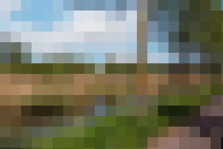 Operettelaan 361 Utrecht thumbnail 41