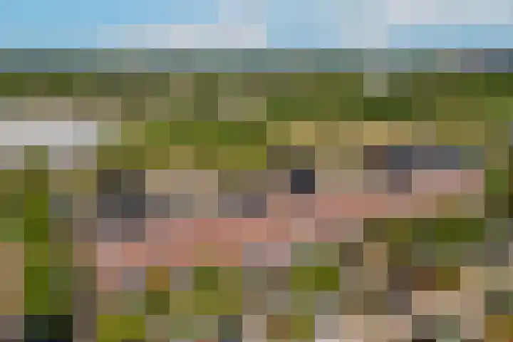 Operettelaan 361 Utrecht thumbnail 42