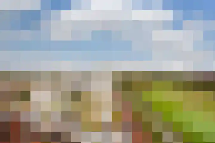 Operettelaan 709 Utrecht thumbnail 12