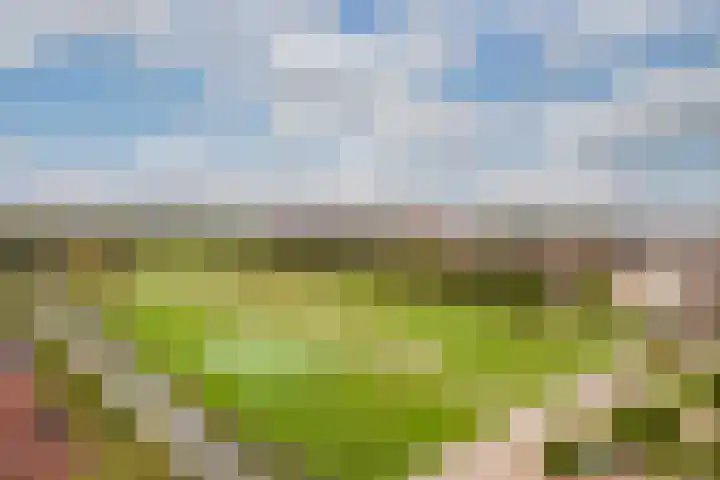 Operettelaan 709 Utrecht thumbnail 27
