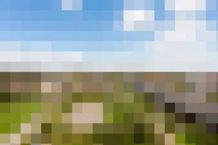 Operettelaan 709 Utrecht thumbnail 28