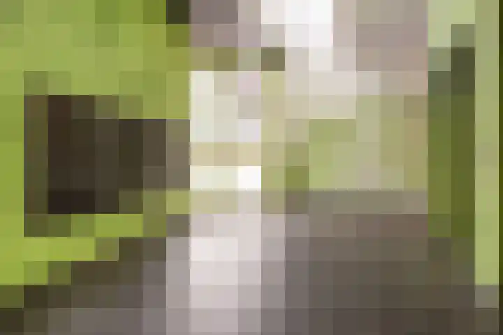 Operettelaan 709 Utrecht thumbnail 34
