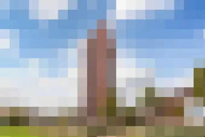 Operettelaan 709 Utrecht thumbnail 41