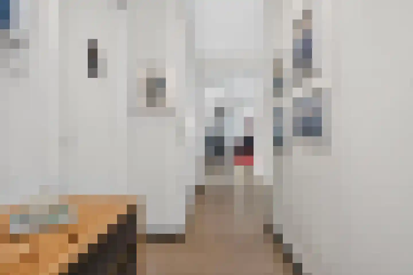 Operettelaan 721 Utrecht thumbnail 7