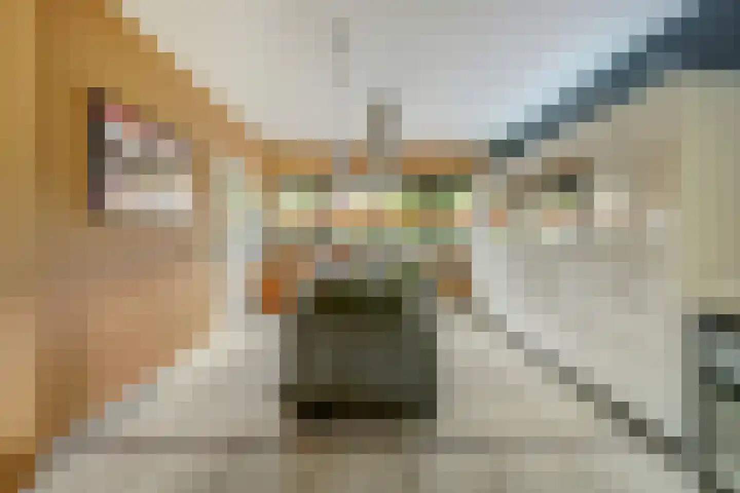 Operetteweg 78 Almere thumbnail 17