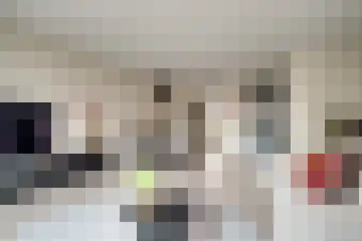 Ophaalbrug 10 Arnhem thumbnail 12