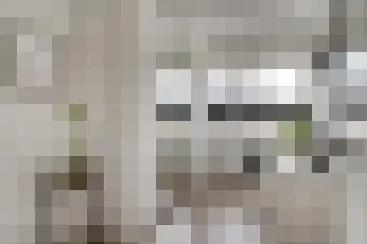 Ophaalbrug 10 Arnhem thumbnail 39