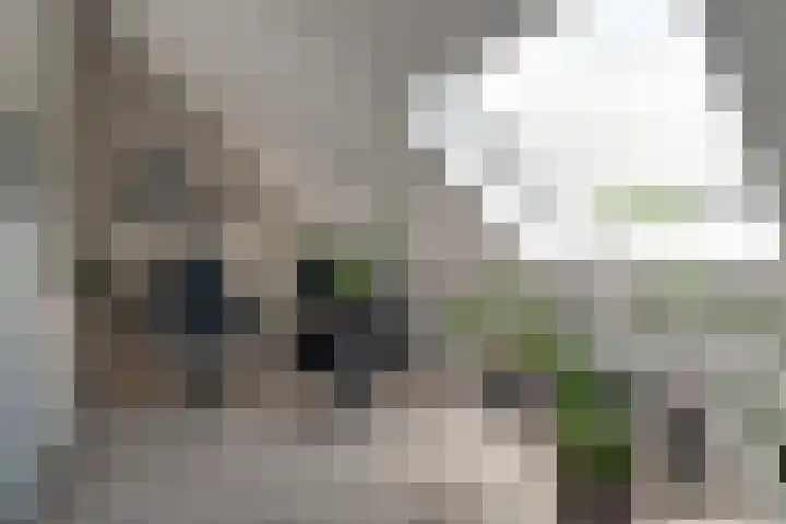 Ophaalbrug 10 Arnhem thumbnail 46
