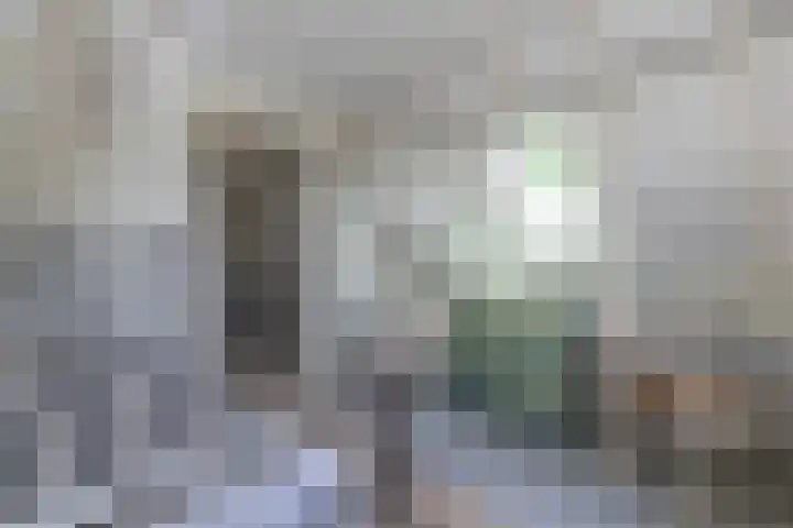 Ophelialaan 66 Aalsmeer thumbnail 23