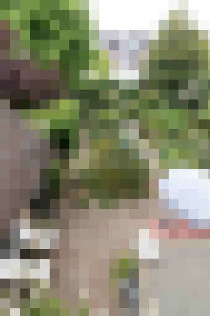 Ophelialaan 66 Aalsmeer thumbnail 24
