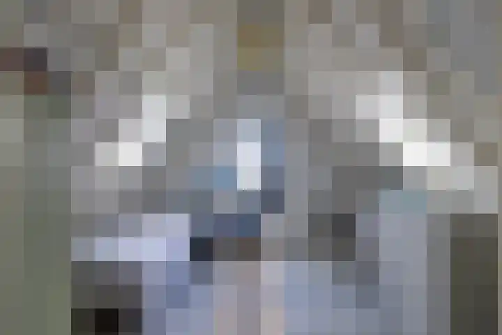 Ophelialaan 66 Aalsmeer thumbnail 27