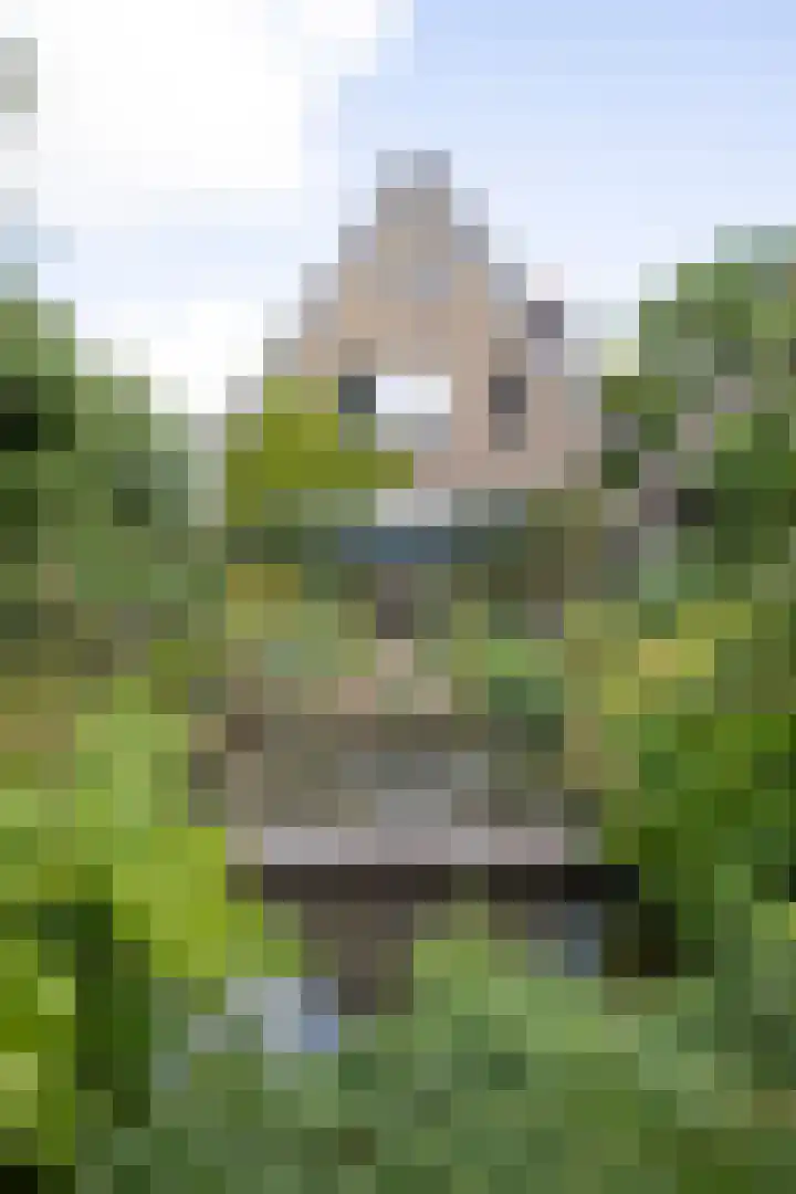 Ophelialaan 66 Aalsmeer thumbnail 29