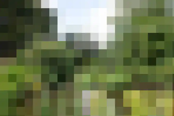 Ophelialaan 66 Aalsmeer thumbnail 30