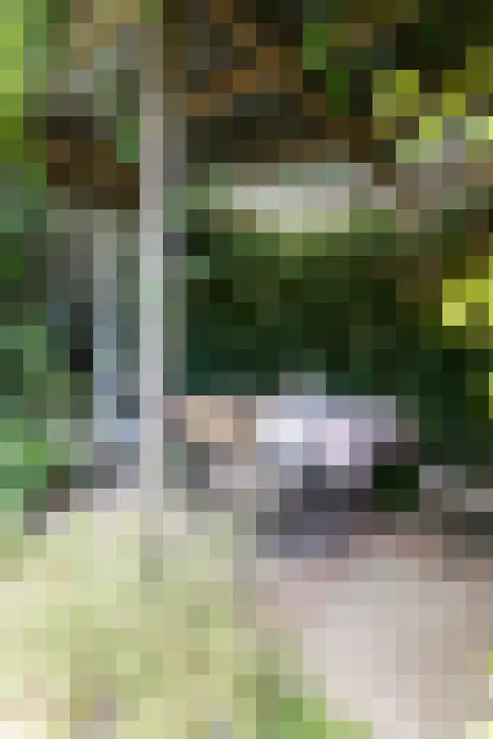 Ophelialaan 66 Aalsmeer thumbnail 33