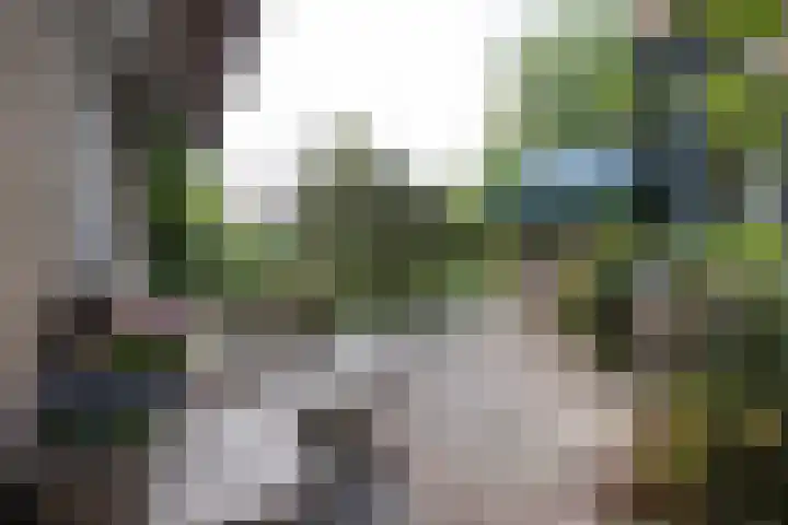Ophelialaan 66 Aalsmeer thumbnail 34