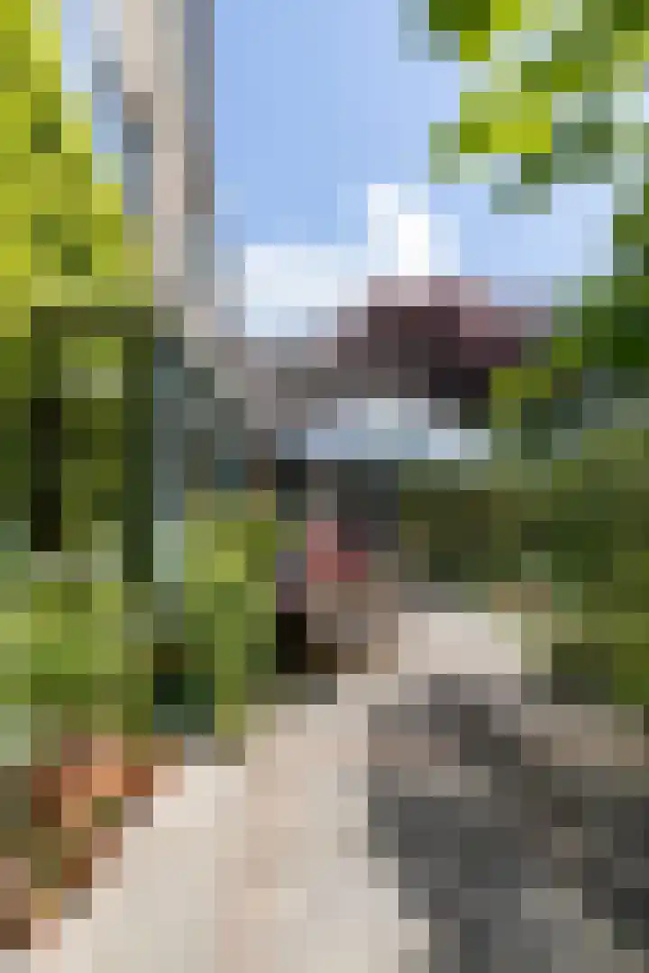 Ophelialaan 66 Aalsmeer thumbnail 35