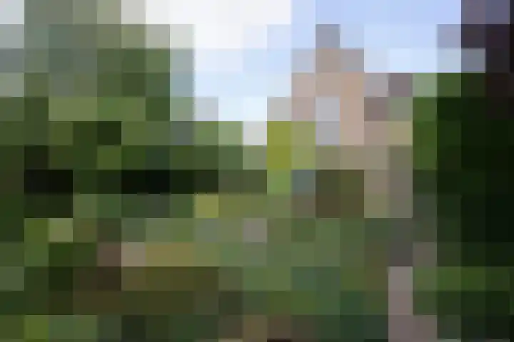 Ophelialaan 66 Aalsmeer thumbnail 4