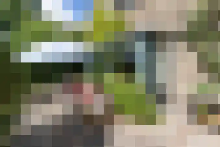 Ophelialaan 66 Aalsmeer thumbnail 8