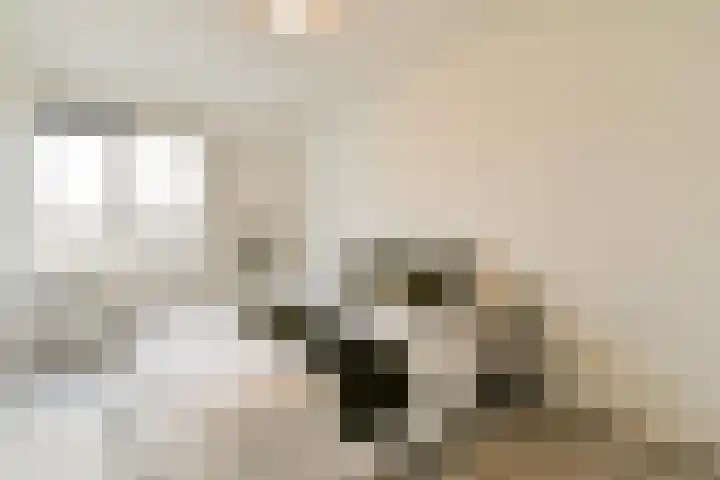 Ophemerthof 10 Amsterdam thumbnail 10