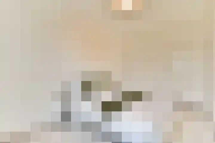 Ophemerthof 10 Amsterdam thumbnail 11