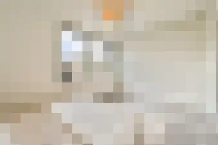 Ophemerthof 10 Amsterdam thumbnail 12