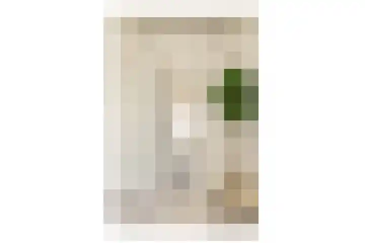 Ophemerthof 10 Amsterdam thumbnail 13