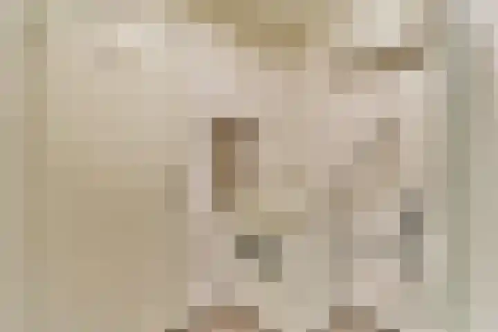 Ophemerthof 10 Amsterdam thumbnail 17