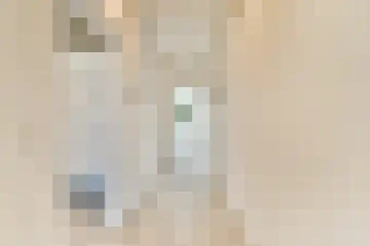 Ophemerthof 10 Amsterdam thumbnail 20