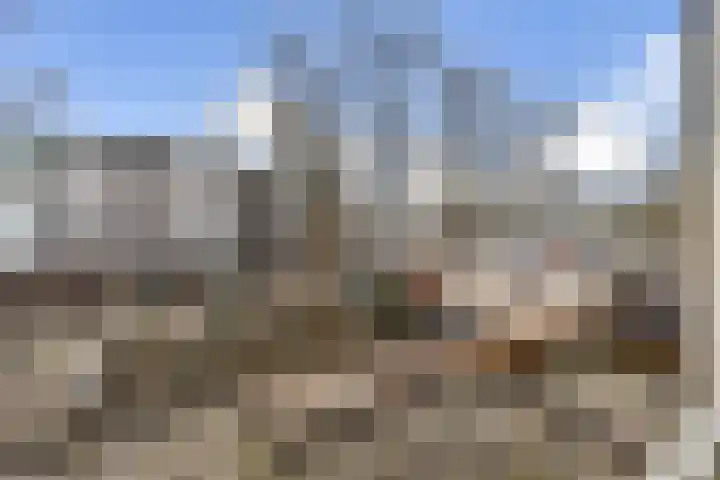 Ophemerthof 10 Amsterdam thumbnail 22
