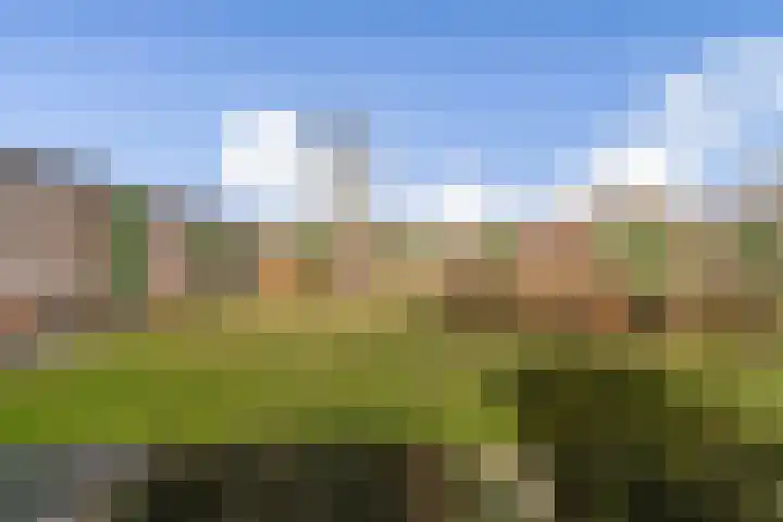 Ophemerthof 10 Amsterdam thumbnail 23