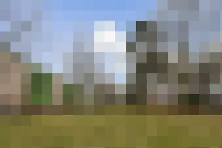 Ophemerthof 10 Amsterdam thumbnail 24