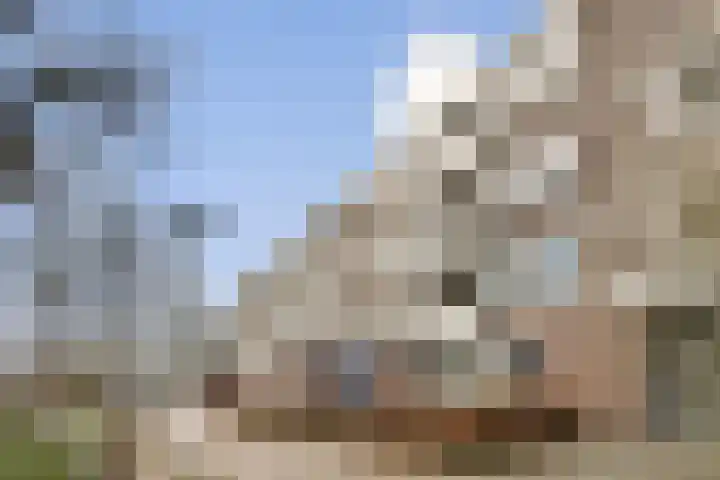 Ophemerthof 10 Amsterdam thumbnail 27