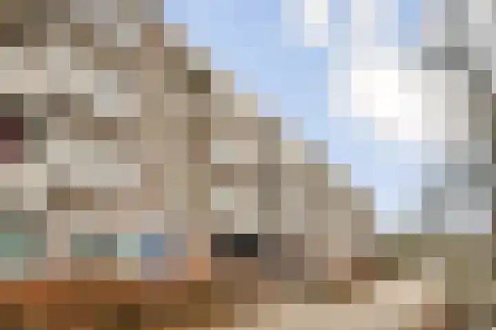 Ophemerthof 10 Amsterdam thumbnail 28