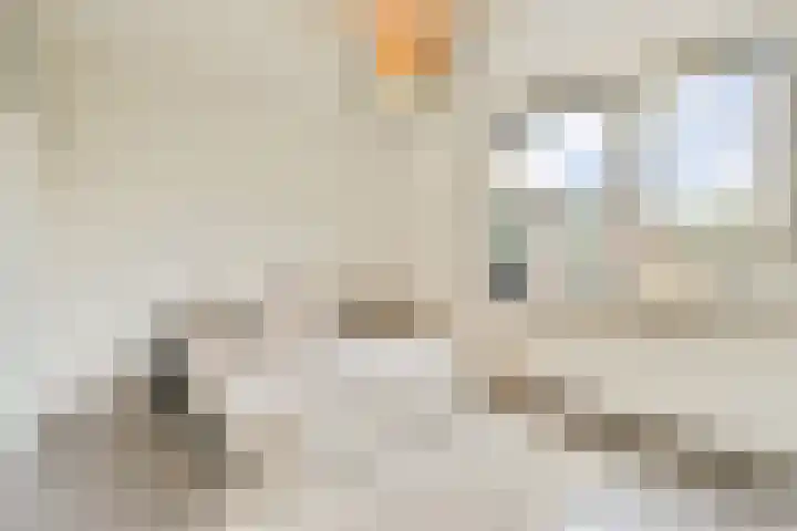 Ophemerthof 10 Amsterdam thumbnail 5