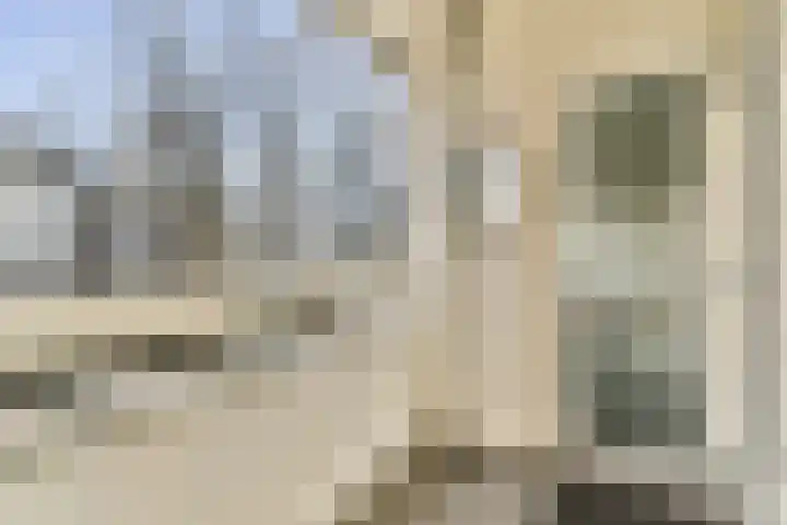 Ophemerthof 10 Amsterdam thumbnail 8
