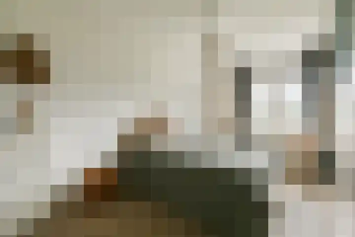 Ophemerthof 14 Amsterdam thumbnail 12