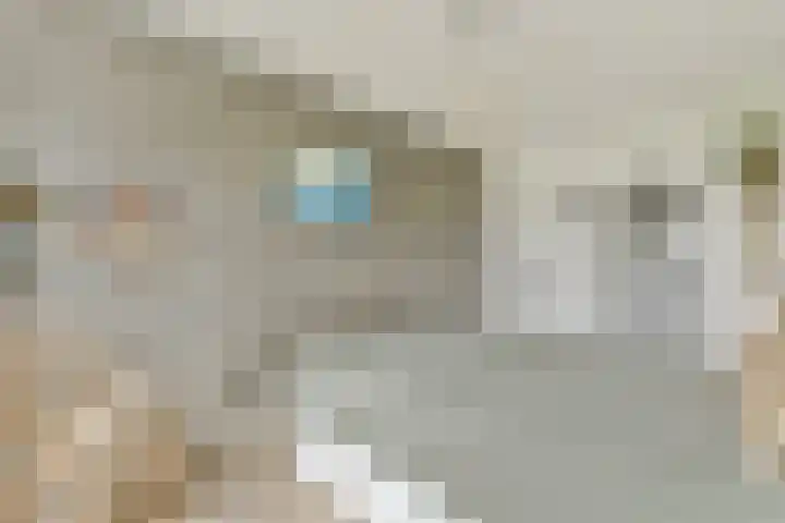 Ophemerthof 14 Amsterdam thumbnail 13