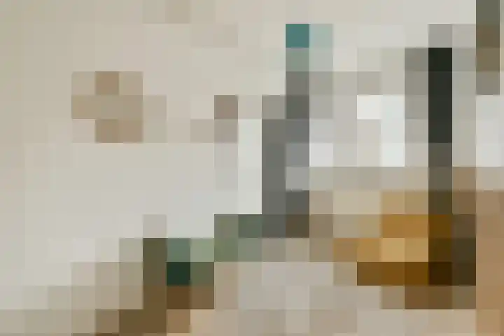 Ophemerthof 14 Amsterdam thumbnail 17