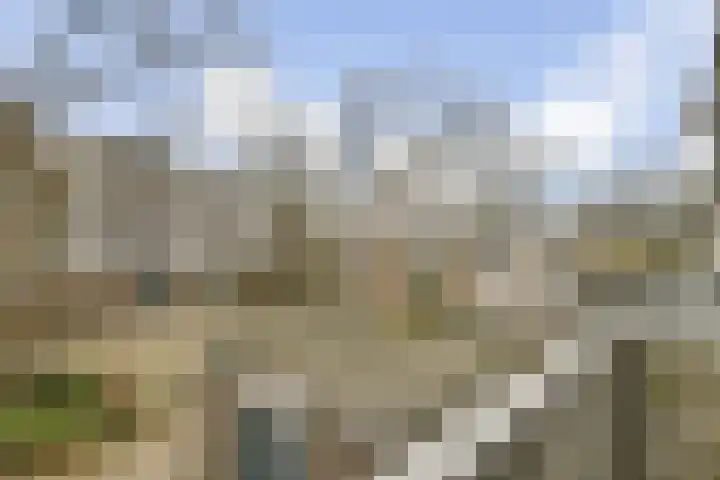 Ophemerthof 14 Amsterdam thumbnail 18