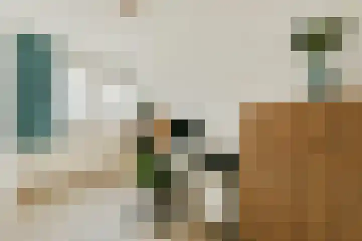 Ophemerthof 14 Amsterdam thumbnail 20