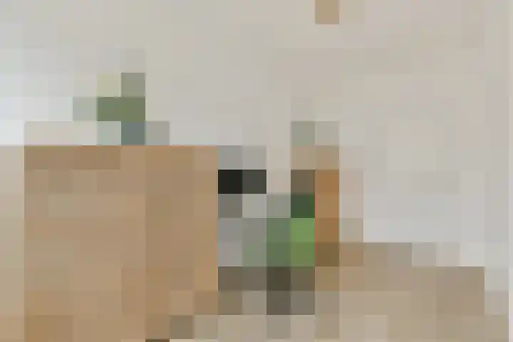 Ophemerthof 14 Amsterdam thumbnail 21