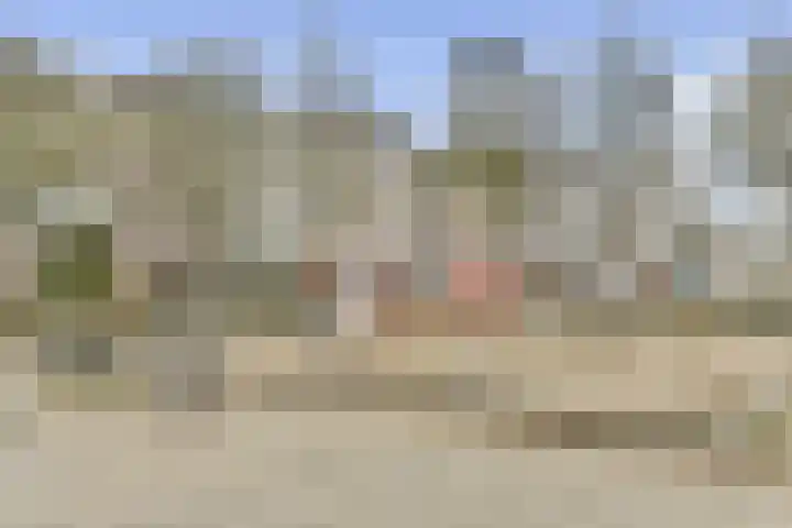 Ophemerthof 14 Amsterdam thumbnail 23