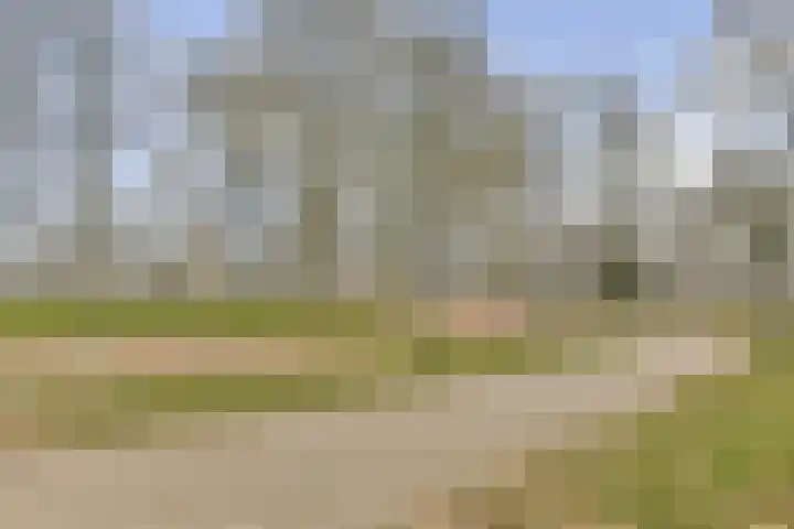 Ophemerthof 14 Amsterdam thumbnail 24