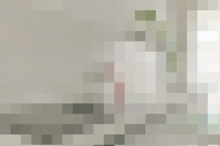 Ophemerthof 14 Amsterdam thumbnail 5