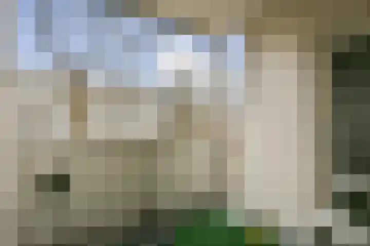 Ophemerthof 14 Amsterdam thumbnail 6