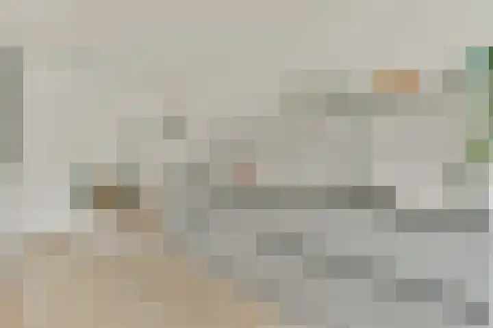 Ophemerthof 14 Amsterdam thumbnail 7