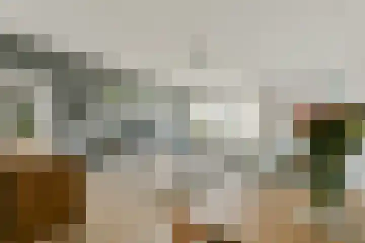 Ophemerthof 14 Amsterdam thumbnail 8