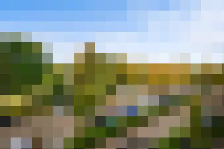 Ophemerthof 176 Amsterdam thumbnail 13