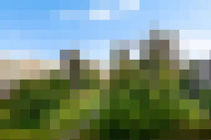 Ophemerthof 176 Amsterdam thumbnail 9