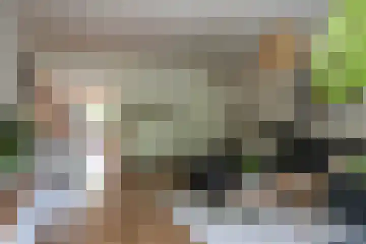 Ophemerthof 53 Amsterdam thumbnail 10